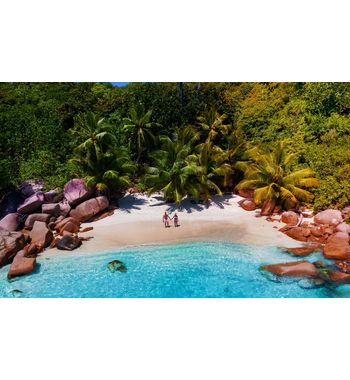 Тропический рай — отдыхайте на Сейшелах! 